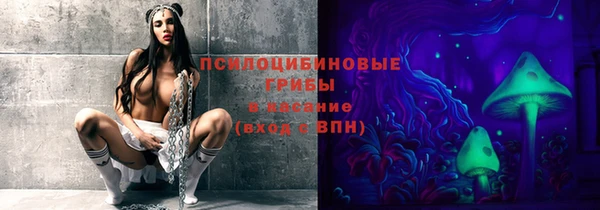 PSILOCYBIN Осташков