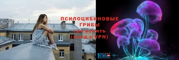 гашик Осинники
